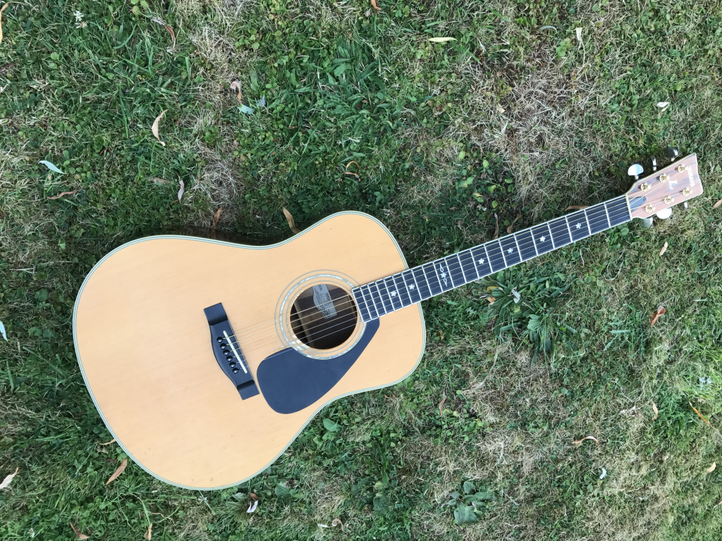 Guitar
